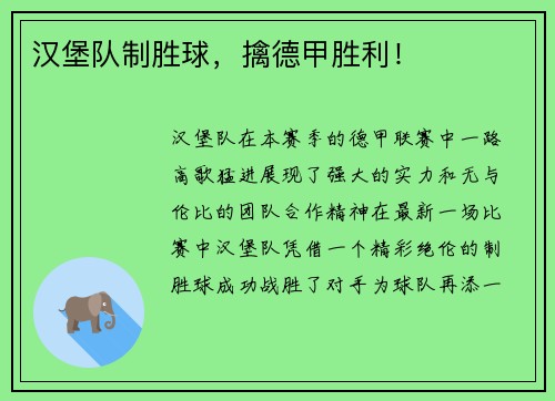 汉堡队制胜球，擒德甲胜利！