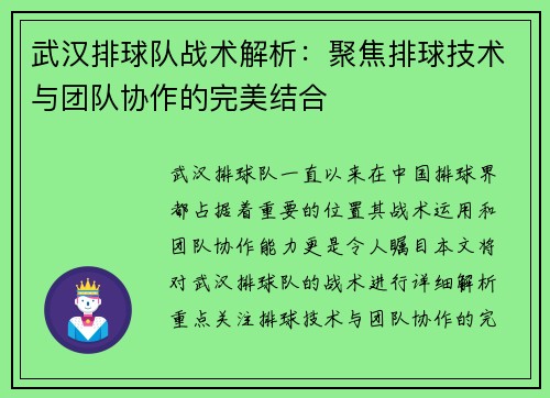 武汉排球队战术解析：聚焦排球技术与团队协作的完美结合